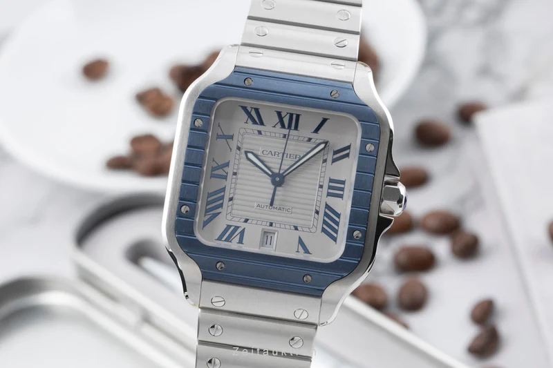 Cartier Santos steel automatic men's watch WSSA0047 [2601148]