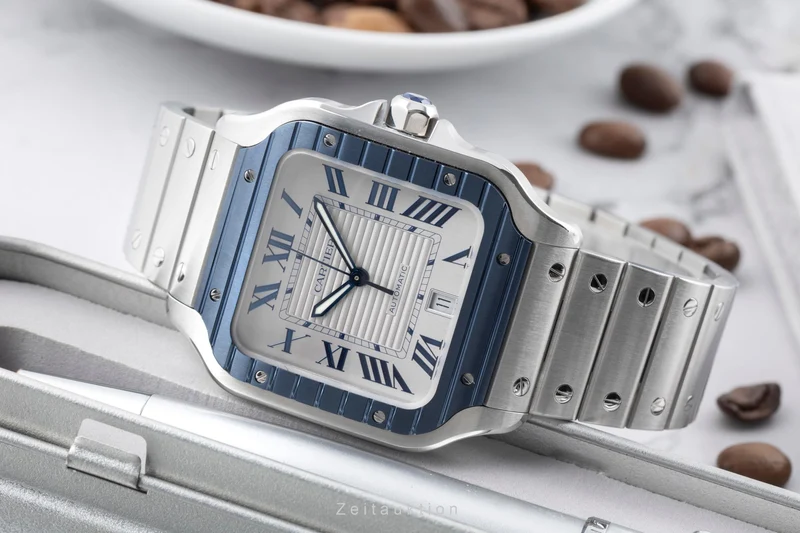 Cartier Santos steel automatic men's watch WSSA0047 [2601148]