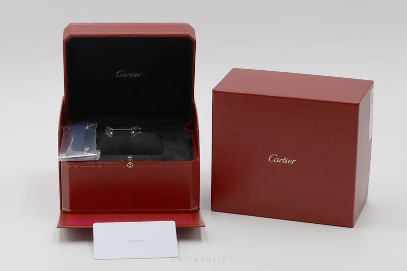 Cartier Santos steel automatic men's watch WSSA0047 [2601148]