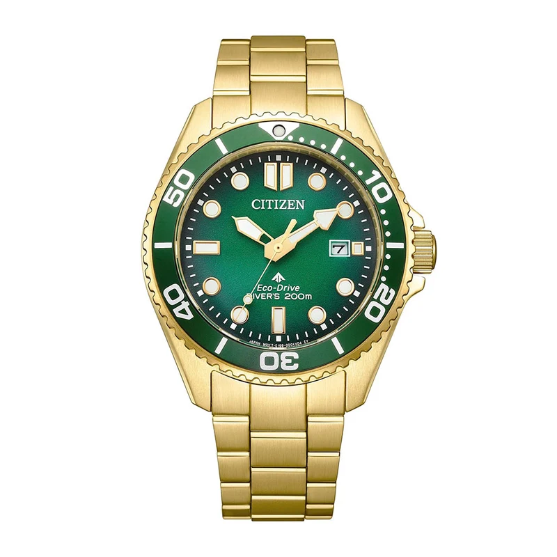 Citizen Promaster Eco-Drive Diver BN0262-59W