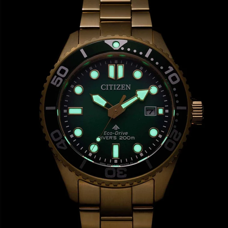 Citizen Promaster Eco-Drive Diver BN0262-59W