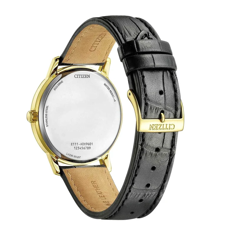 Citizen Sports Eco-Drive BM6756-01A