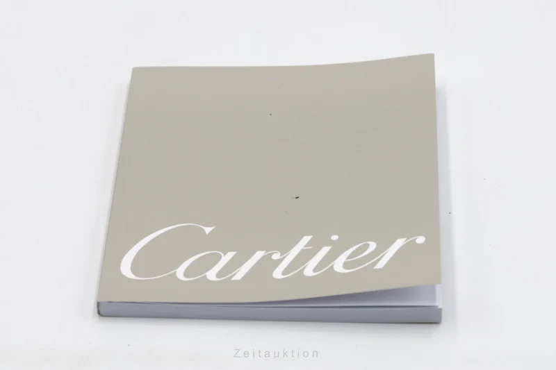 Cartier Pasha Seatimer steel automatic men's watch W31077U2 [2600928]
