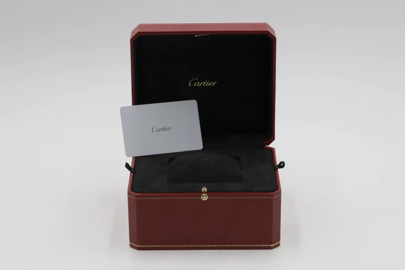 Cartier Santos steel automatic men's watch WSSA0055 [2600804]