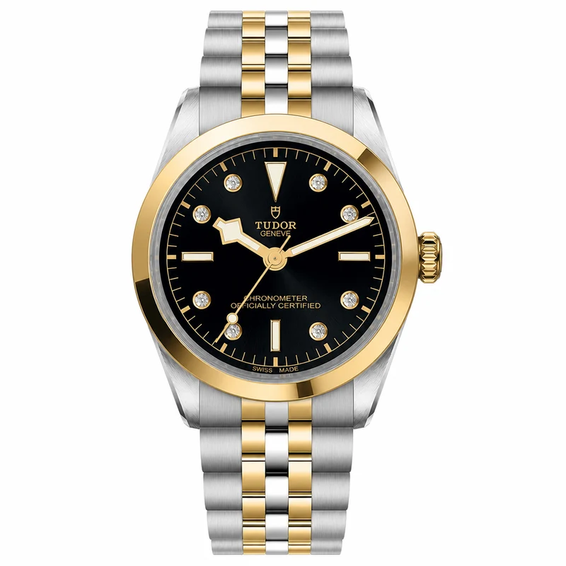 Tudor Black Bay 36 S&G