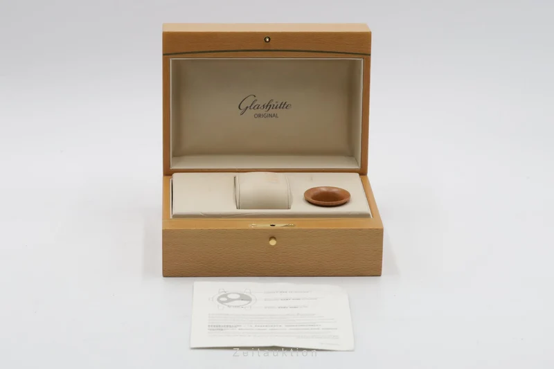 Glashütte PanoInverse XL steel manual winding men's watch 1-66-06-04-22-05 [2600159]