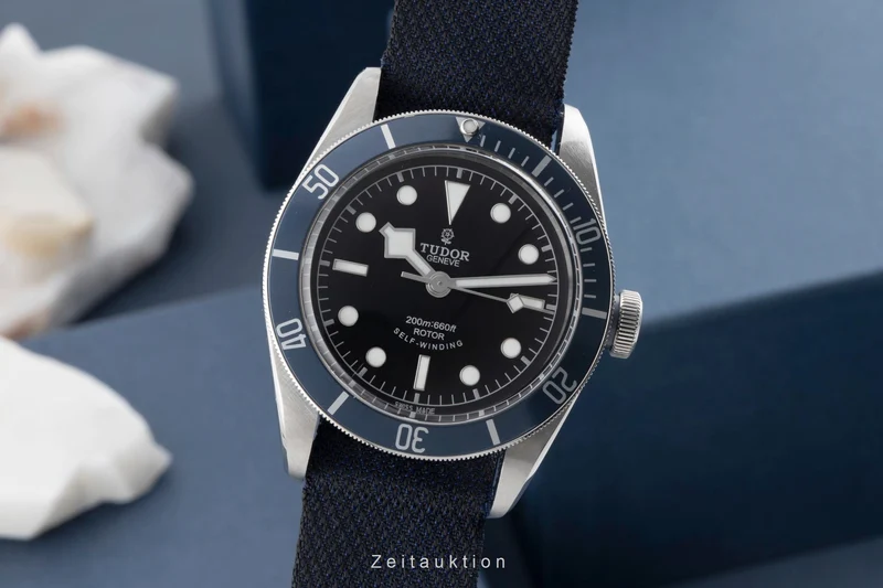 Tudor Black Bay steel automatic men's watch 79220B [2600604]