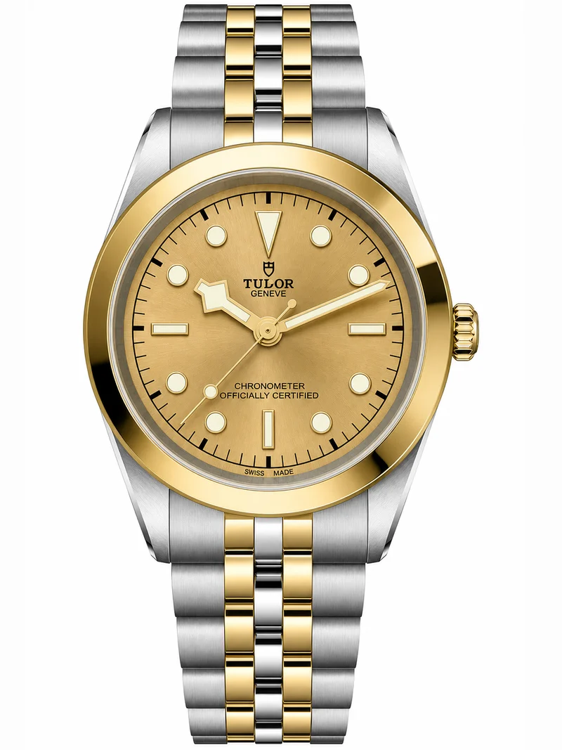 Tudor Black Bay 41 S&G