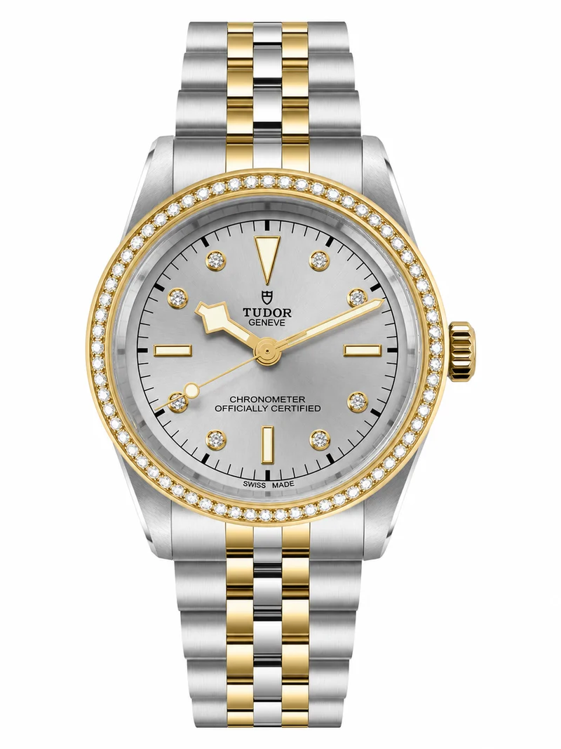 Tudor Black Bay 39 S&G