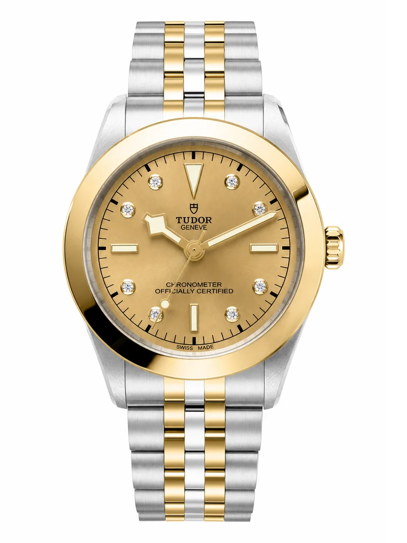 Tudor Black Bay 39 S&G