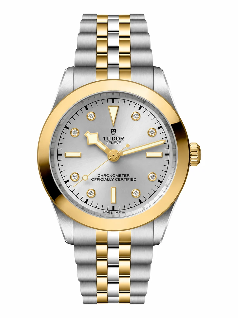 Tudor Black Bay 39 S&G