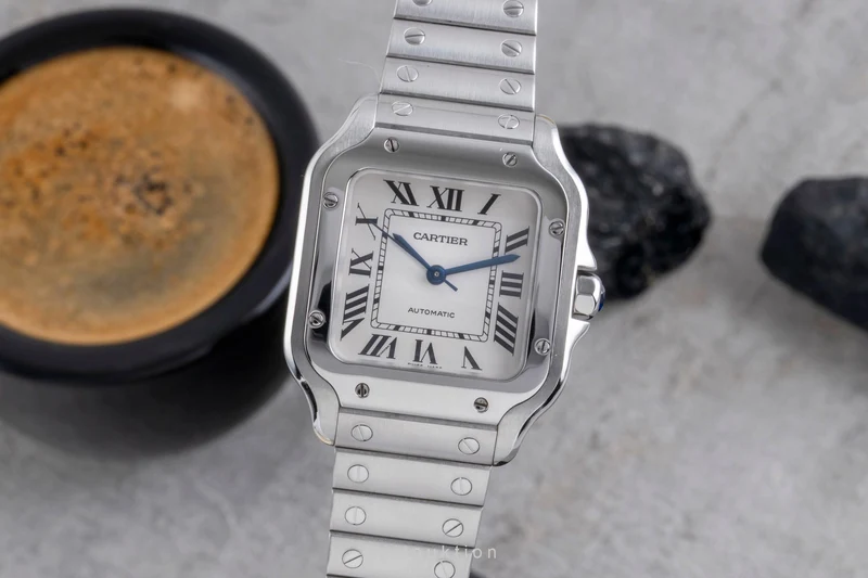 Cartier Santos steel automatic men's watch WSSA0010 LP: 8850EUR [2506868]