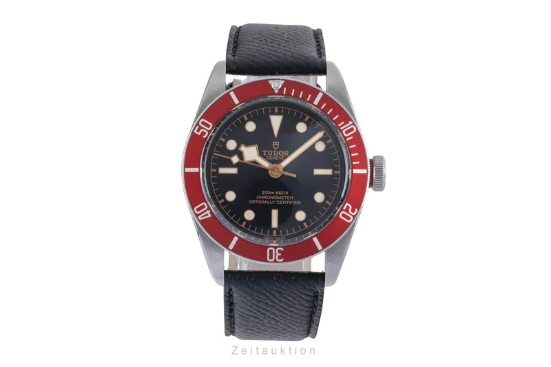 Tudor Black Bay steel automatic men's watch M79230R-0006 [2600077]