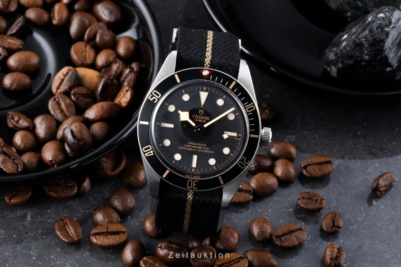 Tudor Black Bay steel automatic men's watch M79030N-0003 [2507326]