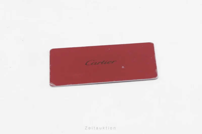 Cartier Pasha steel automatic men's watch W31093M7 [2507309]