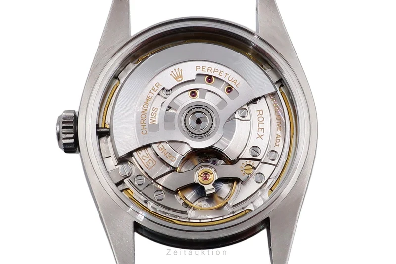Rolex Oyster Perpetual steel automatic men's watch 224270 [2506811]