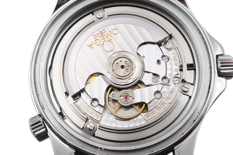 Omega Seamaster steel automatic men's watch 212.30.41.20.01.002 [2507013]