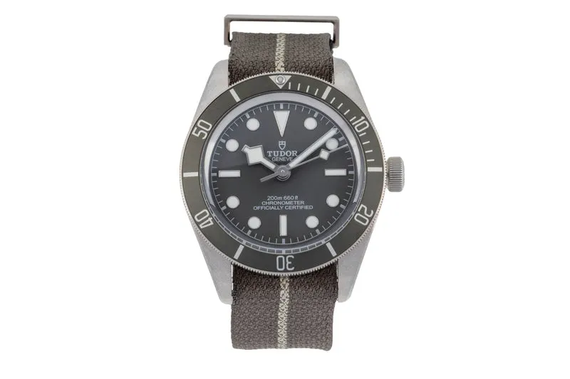 Tudor Black Bay silver automatic men's watch 79010S LP: 4810EUR [2504582]