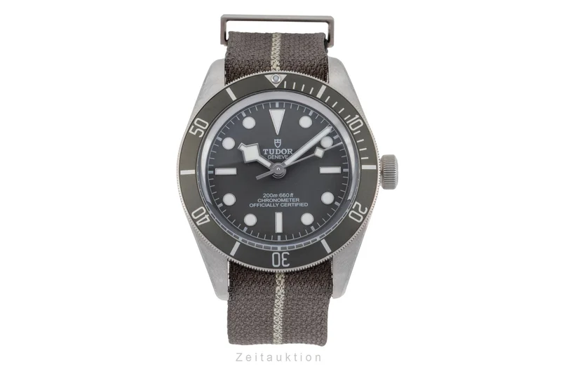 Tudor Black Bay silver automatic men's watch 79010S LP: 4810EUR [2504582]