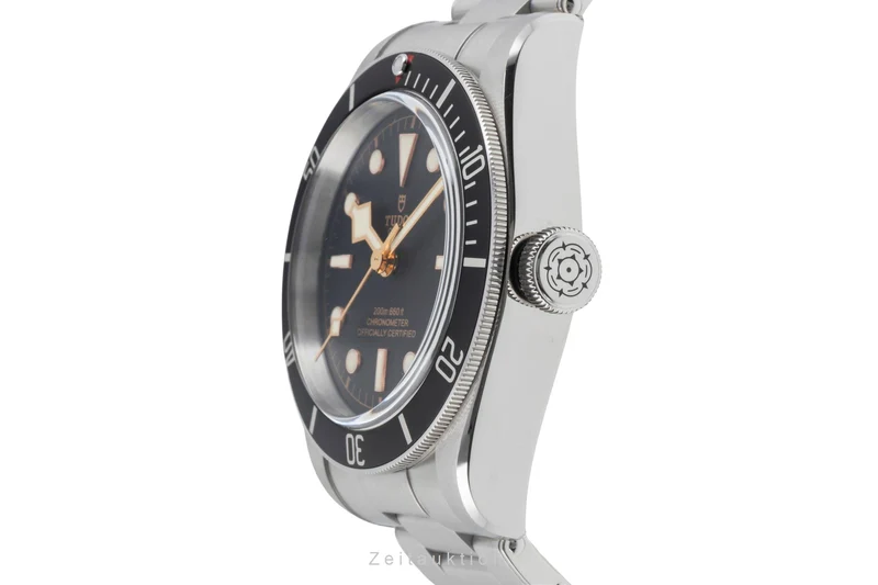 Tudor Black Bay steel automatic men's watch 79230N [2505921]