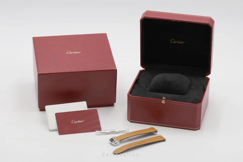 Cartier Santos steel automatic men's watch WSSA0029 [2506070]