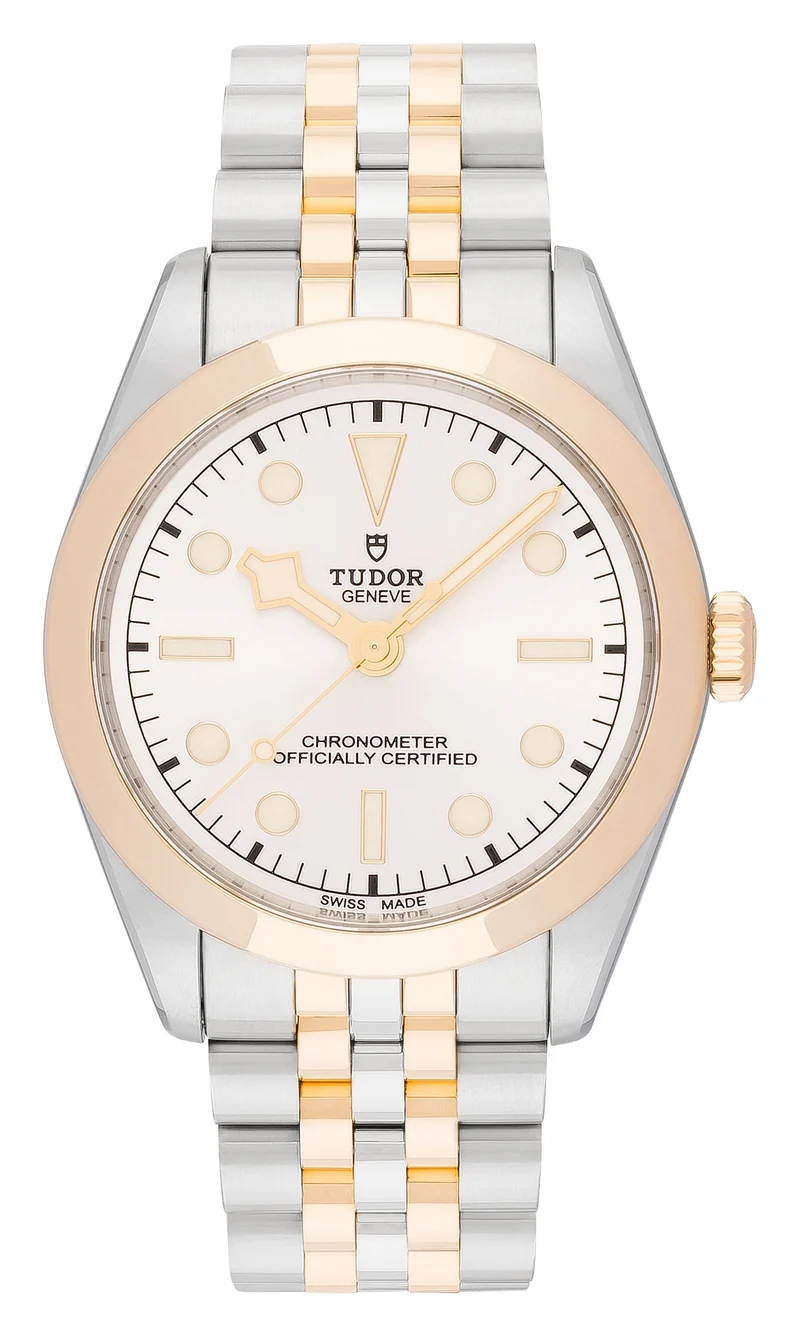 Tudor Black Bay 36 S&G