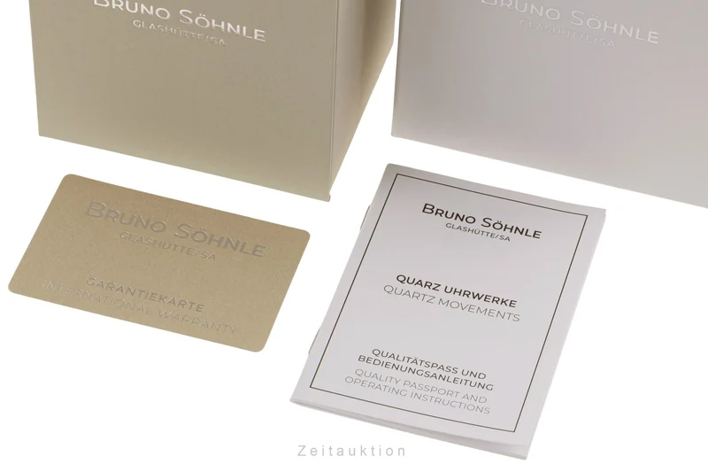 Bruno Söhnle Glashütte Nabucco gilt / steel quartz men's watch 17-33085-921 [2506460]