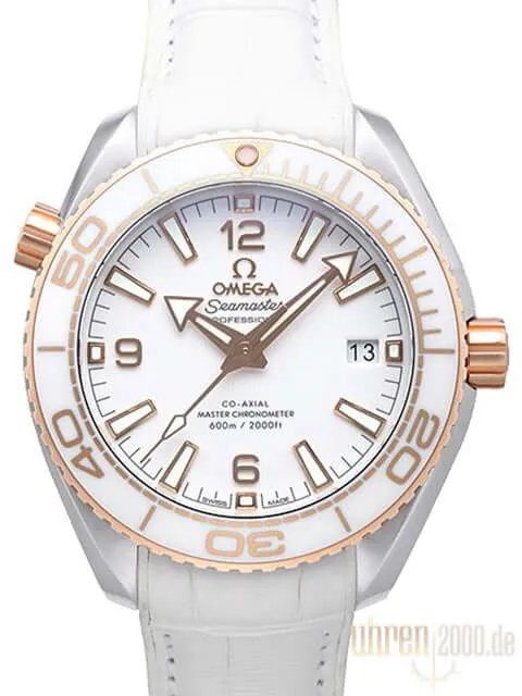 Omega Seamaster Planet Ocean 600m Master Chronometer 39.5 mm 215.23.40.20.04.001