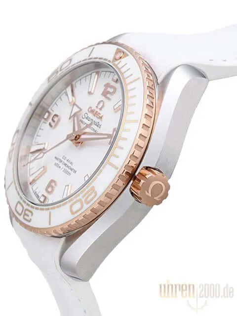 Omega Seamaster Planet Ocean 600m Master Chronometer 39.5 mm 215.23.40.20.04.001