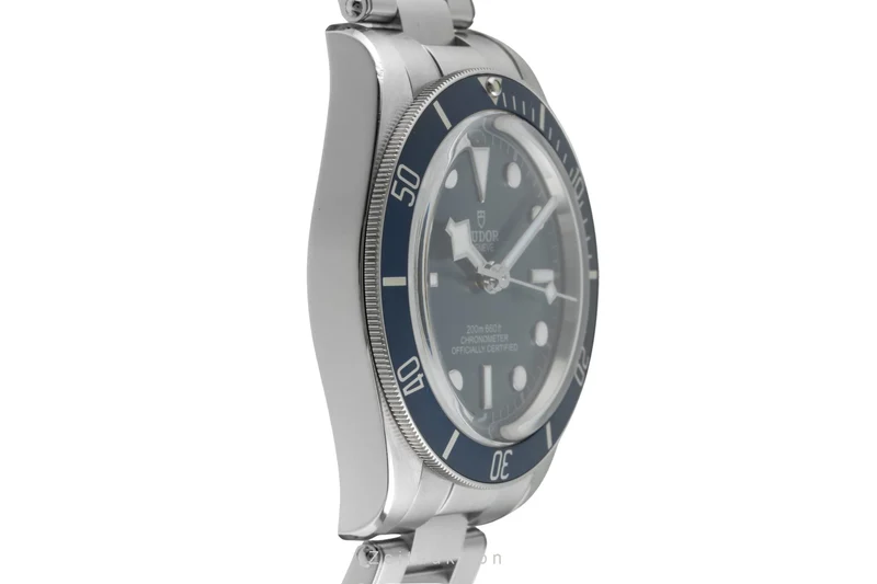 Tudor Black Bay steel automatic men's watch 79030B [2506088]