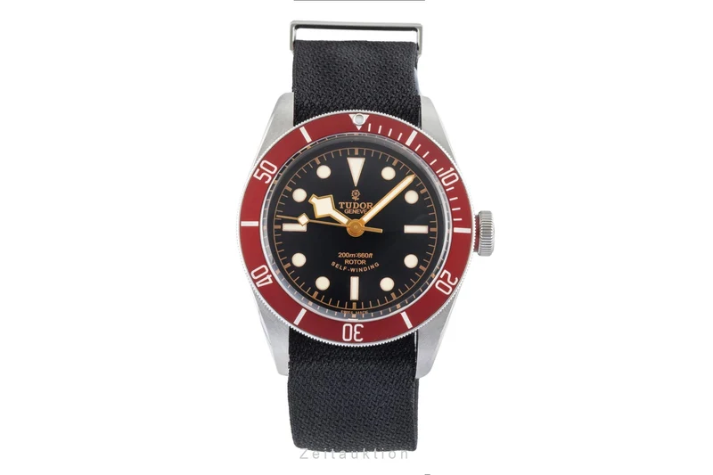 Tudor Black Bay steel automatic men's watch 79220R [2505124]