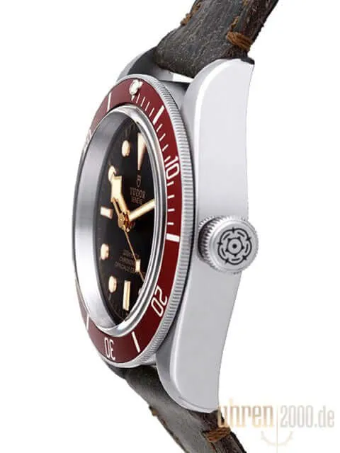 Tudor Heritage Black Bay 79230R-0005 Lederband