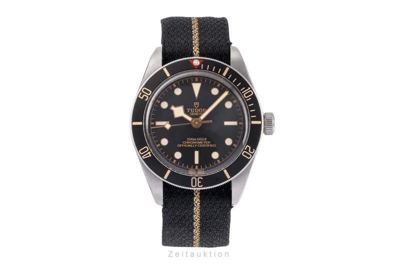 Tudor Black Bay steel automatic men's watch 79030N [2505278]