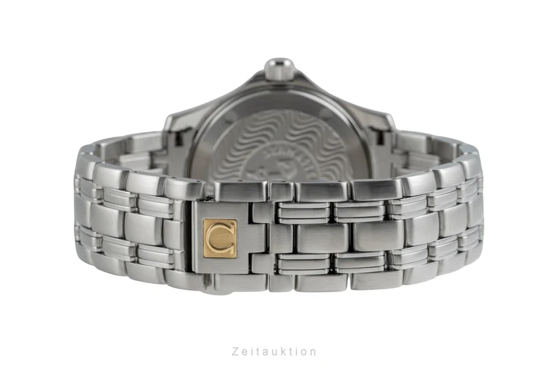 Omega Seamaster steel automatic men's watch 2501.31.00 [2503841]