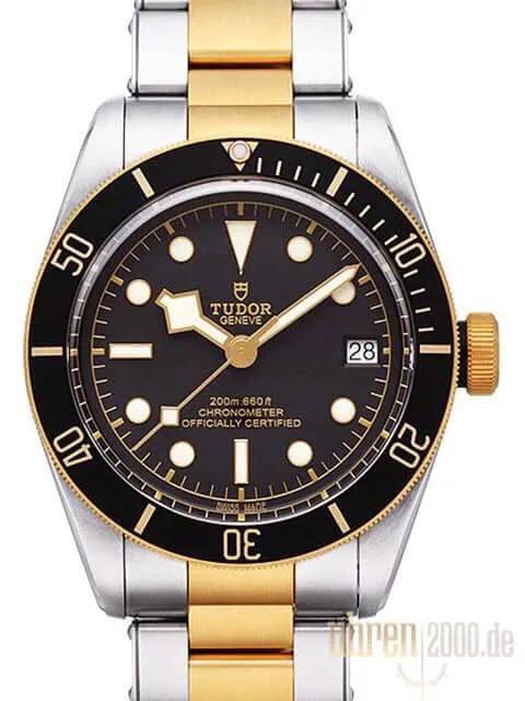 Tudor Heritage Black Bay Steel Gold 79733N-0002