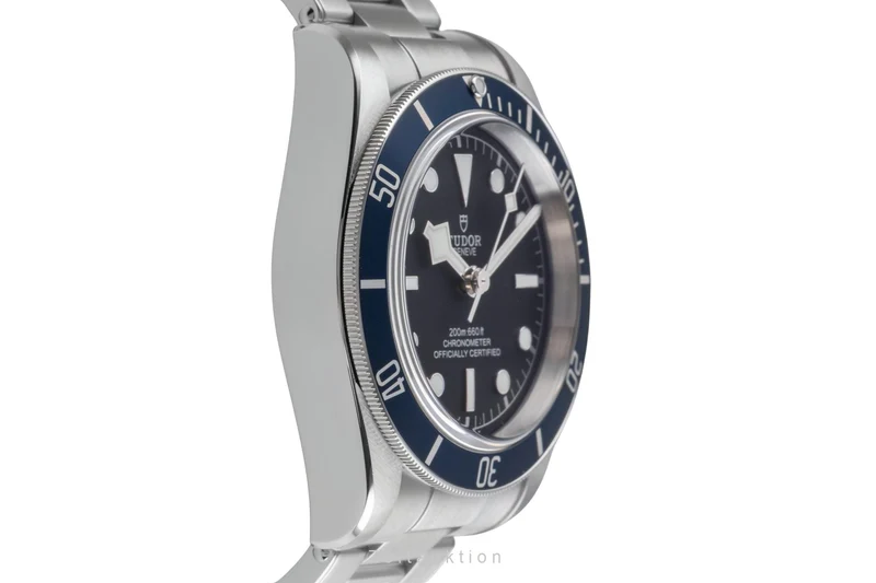 Tudor Black Bay steel automatic men's watch 79230B [2505247]