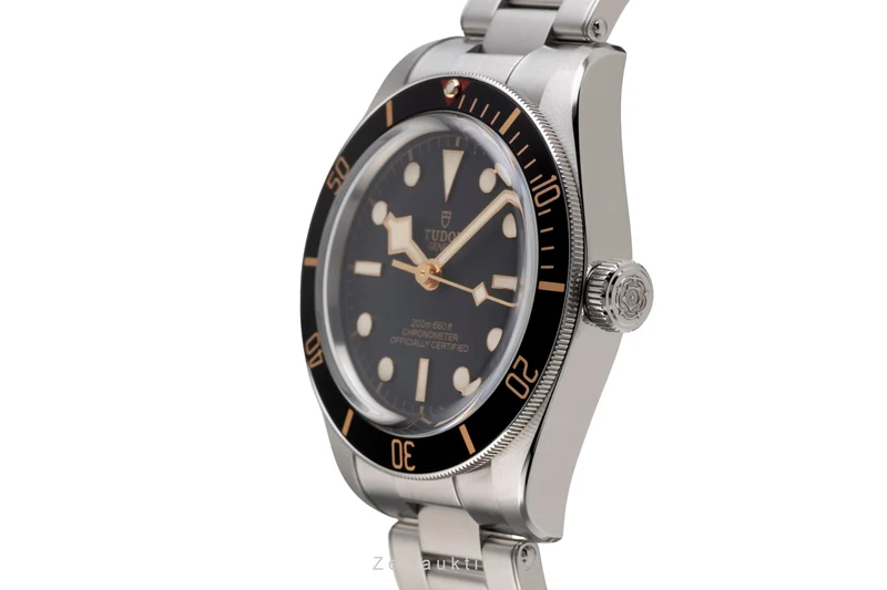 Tudor Black Bay steel automatic men's watch 79030N LP: 4150EUR [2505154]