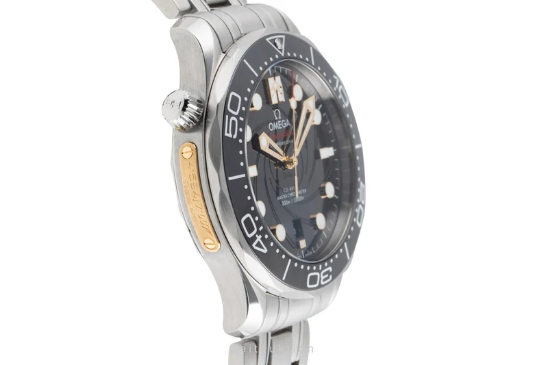 Omega Seamaster steel automatic men's watch 210.22.42.20.01.004 Limited [2504937]