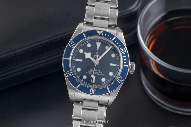 Tudor Black Bay steel automatic men's watch M79030B-0001 [2504930]