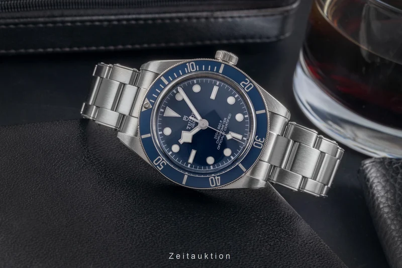 Tudor Black Bay steel automatic men's watch M79030B-0001 [2504930]