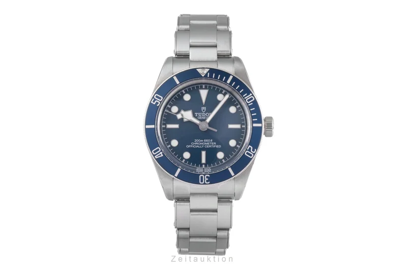 Tudor Black Bay steel automatic men's watch M79030B-0001 [2504930]
