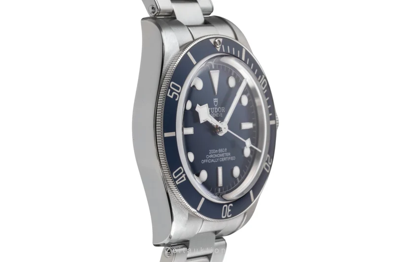 Tudor Black Bay steel automatic men's watch M79030B-0001 [2504930]