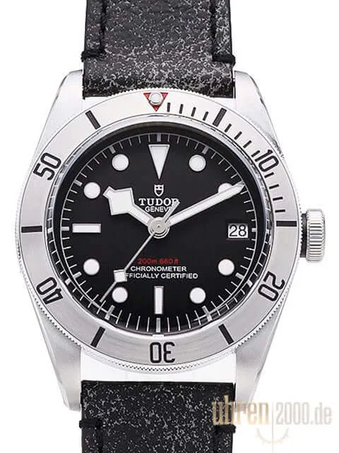 Tudor Heritage Black Bay Steel 79730-0003