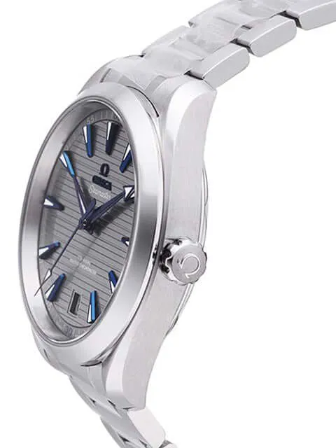 Omega Seamaster Aqua Terra Master Chronometer 220.10.41.21.06.001