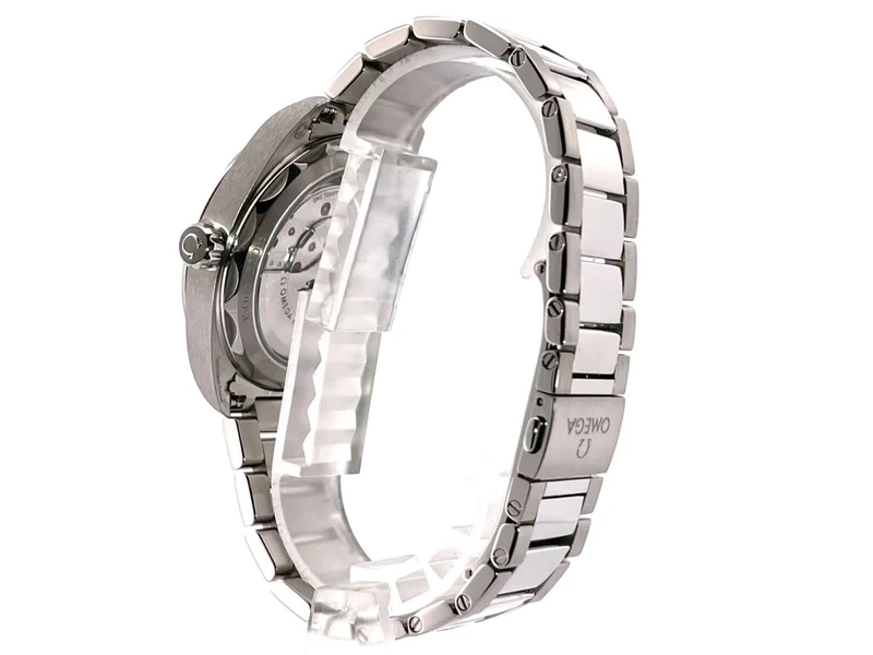 Omega Seamaster Aqua Terra Master Chronometer 220.10.41.21.01.001