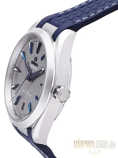 Omega Seamaster Aqua Terra Master Chronometer 220.12.41.21.06.001