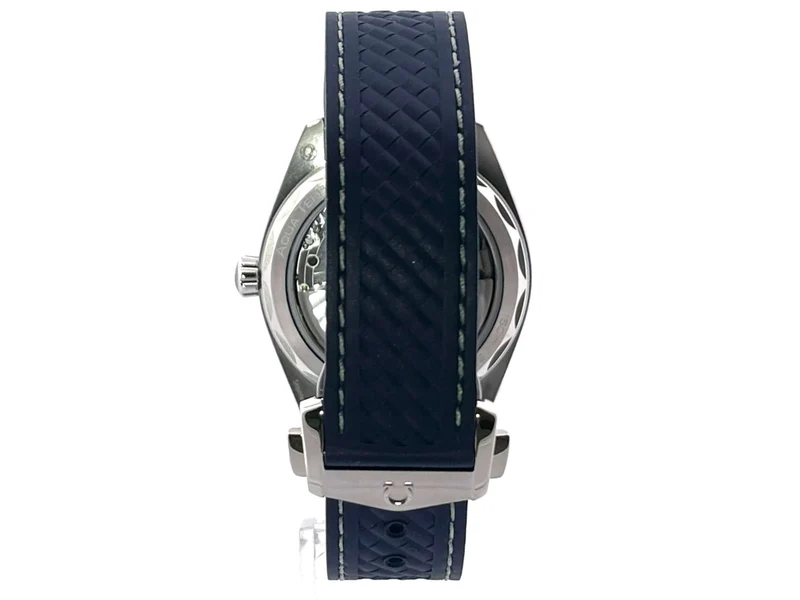 Omega Seamaster Aqua Terra Master Chronometer 220.12.41.21.03.001