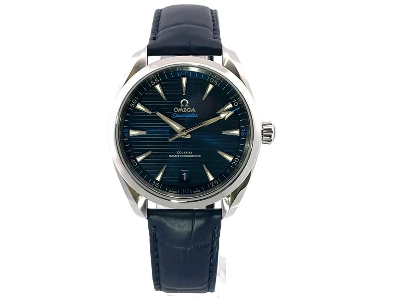 Omega Seamaster Aqua Terra Master Chronometer 220.13.41.21.03.001
