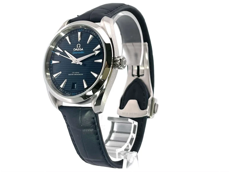 Omega Seamaster Aqua Terra Master Chronometer 220.13.41.21.03.001