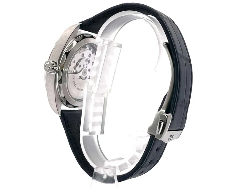 Omega Seamaster Aqua Terra Master Chronometer 220.13.41.21.03.001